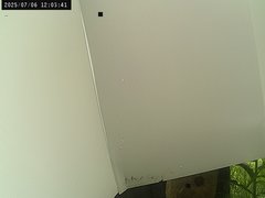 view from Weather Cam on 2025-07-06