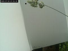 view from Weather Cam on 2025-07-09