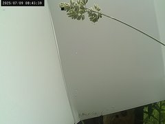 view from Weather Cam on 2025-07-09