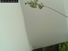 view from Weather Cam on 2025-07-09