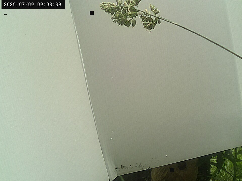 time-lapse frame, Weather Cam webcam