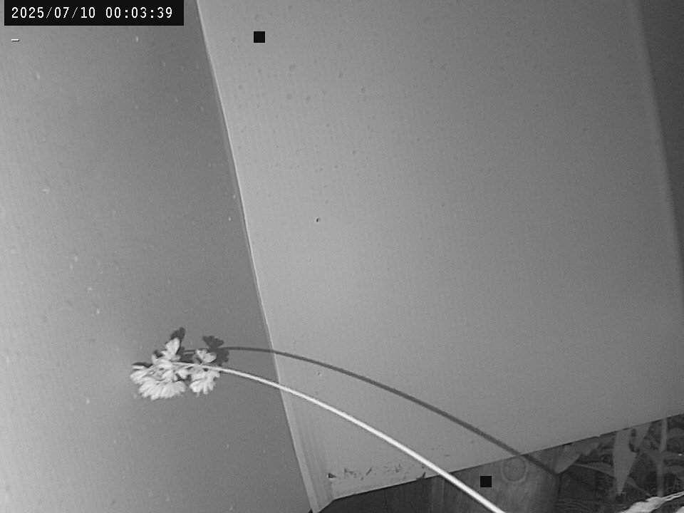 time-lapse frame, Weather Cam webcam