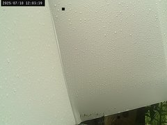 view from Weather Cam on 2025-07-10