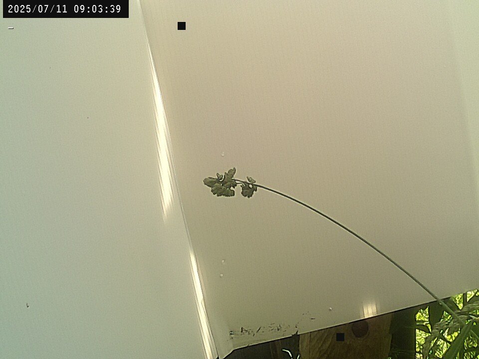 time-lapse frame, Weather Cam webcam
