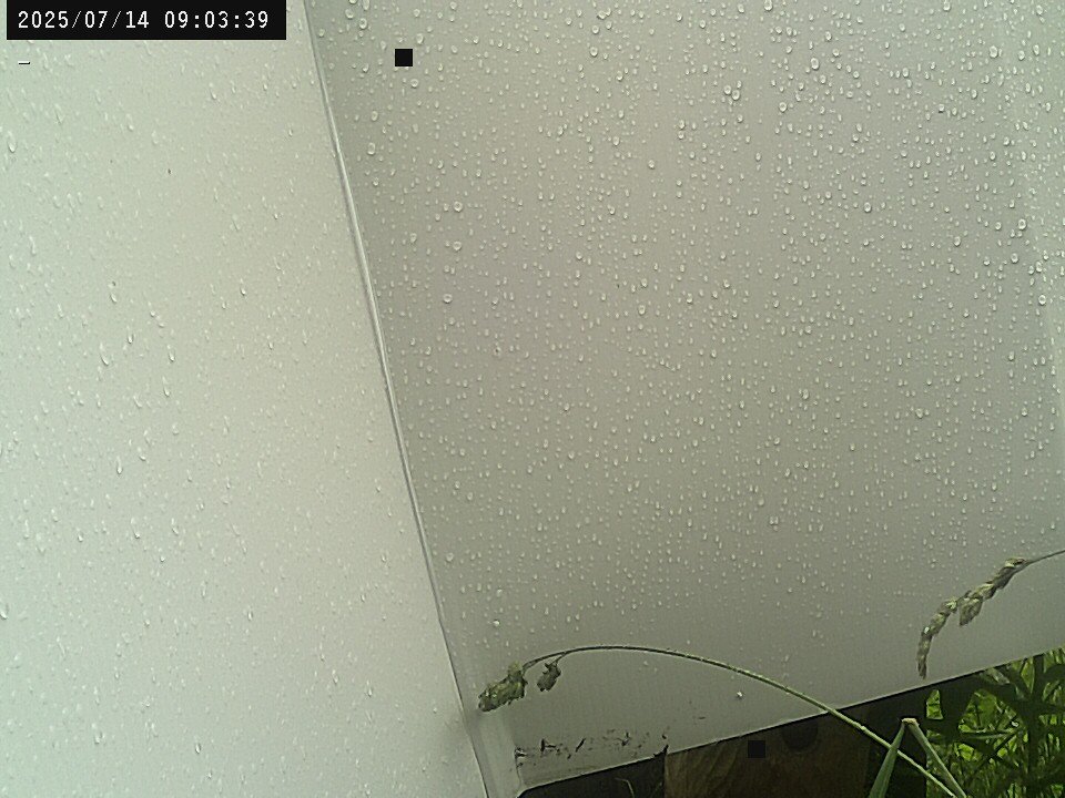 time-lapse frame, Weather Cam webcam