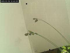 view from Weather Cam on 2025-07-26