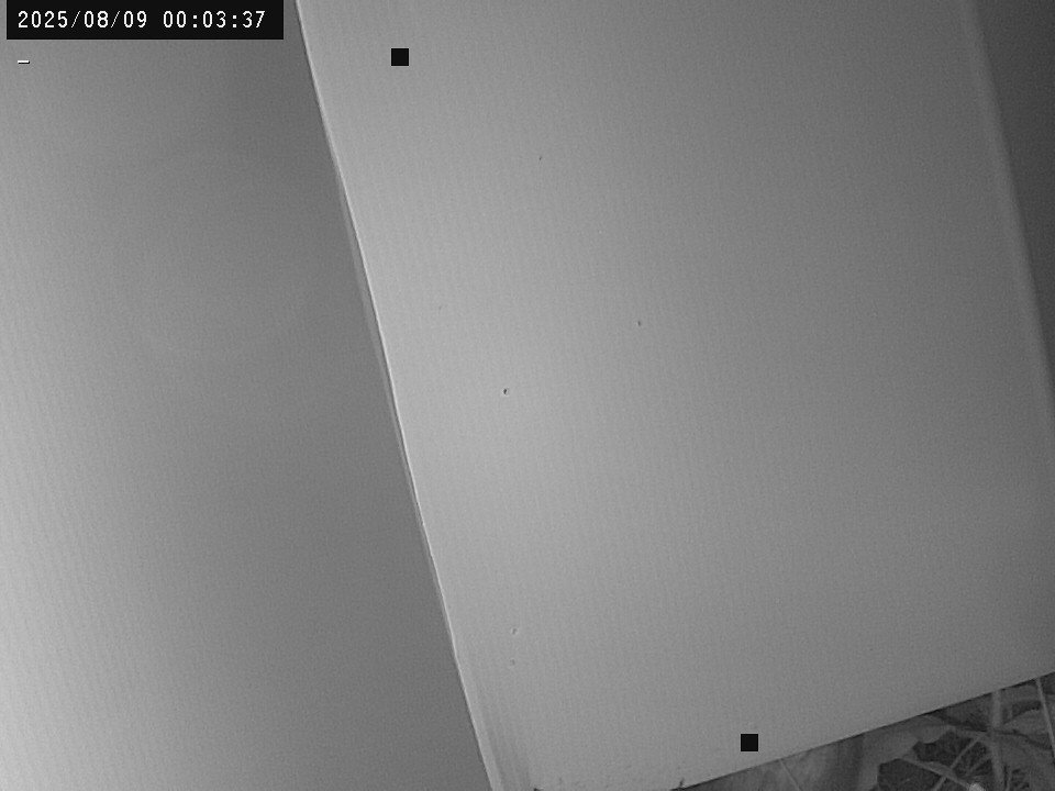 time-lapse frame, Weather Cam webcam