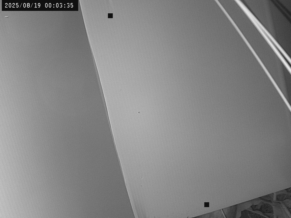 time-lapse frame, Weather Cam webcam