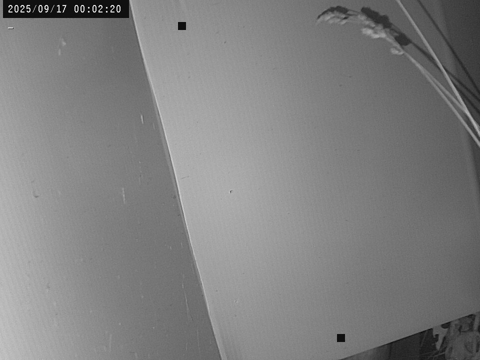 time-lapse frame, Weather Cam webcam