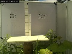 view from Weather Cam on 2026-06-11
