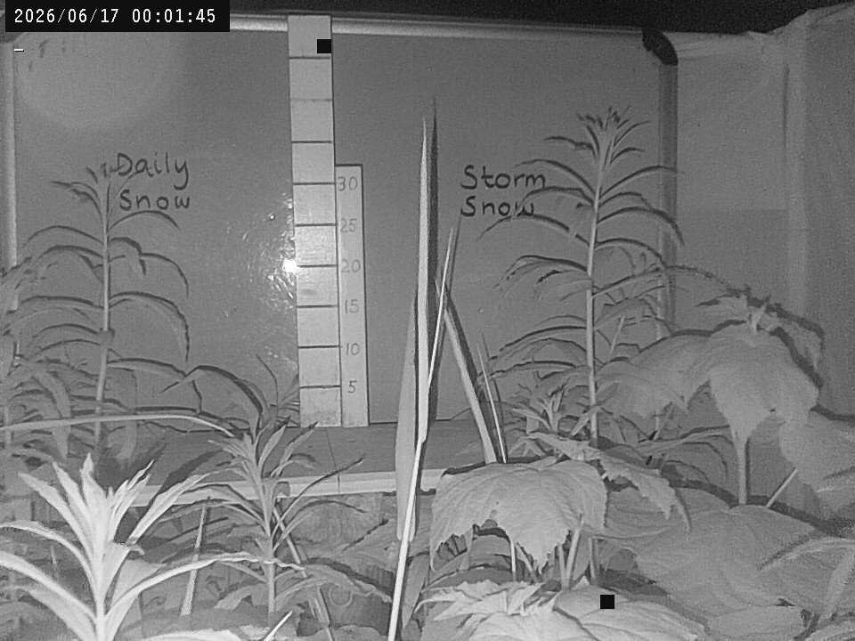 time-lapse frame, Weather Cam webcam