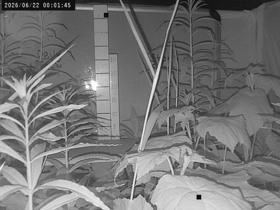 time-lapse frame, Weather Cam webcam