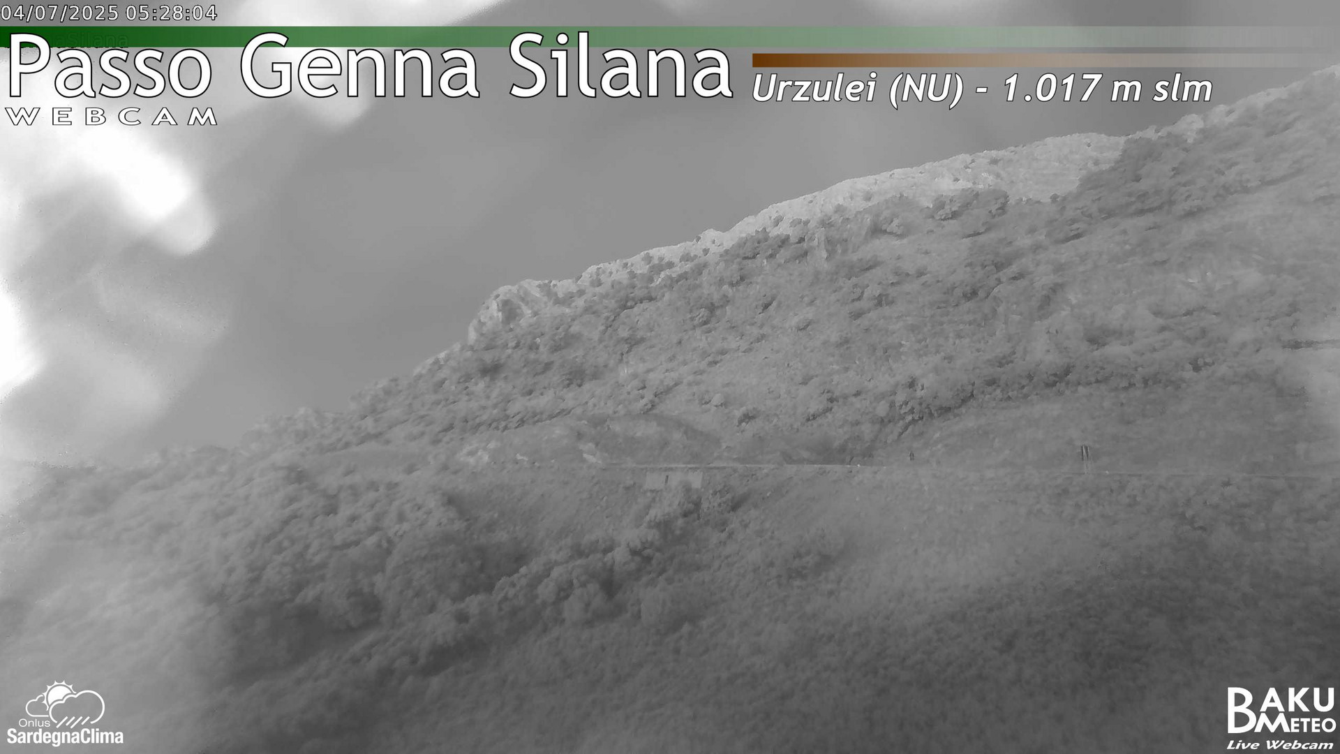 Genna Silana animated GIF