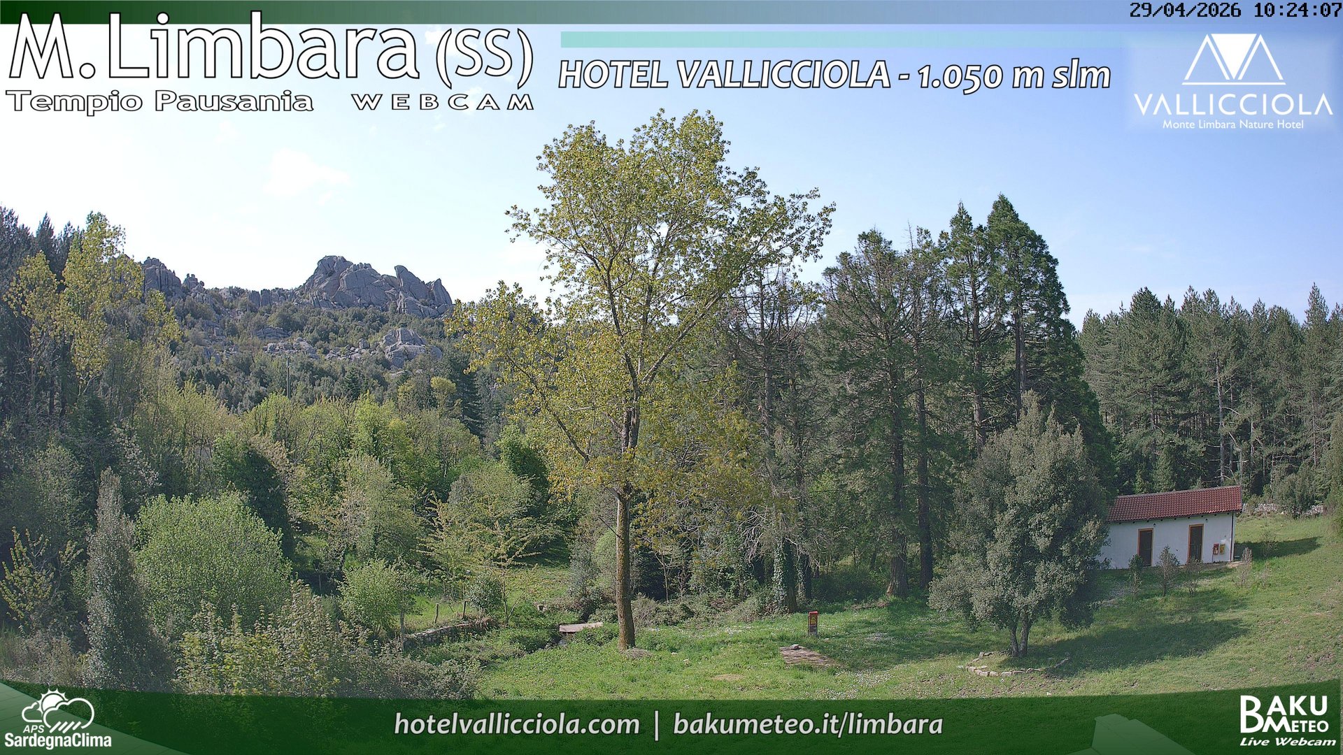 Monte Limbara Val... animated GIF