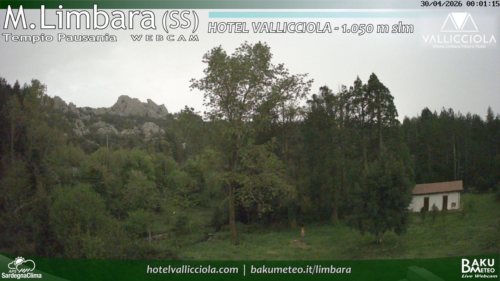 time-lapse frame, Monte Limbara Vallicciola webcam