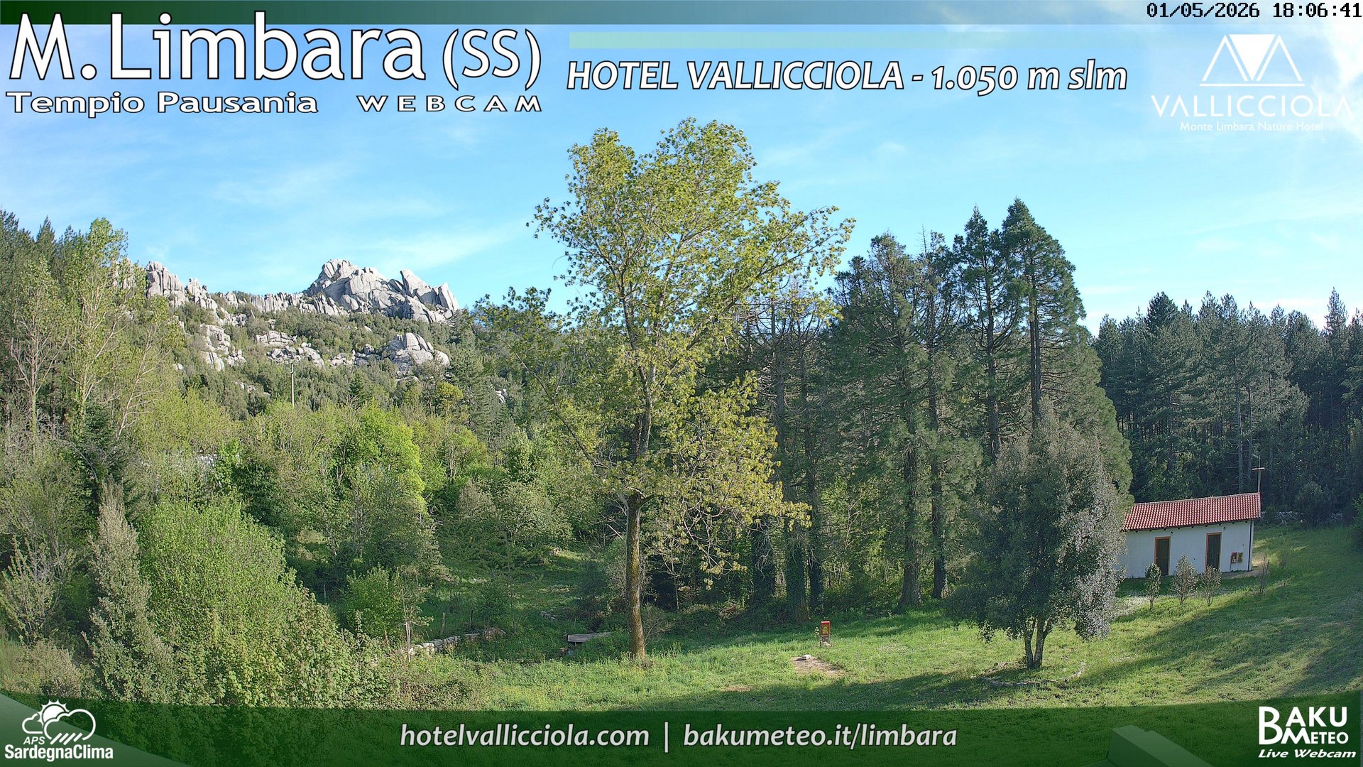 time-lapse frame, Monte Limbara Vallicciola webcam