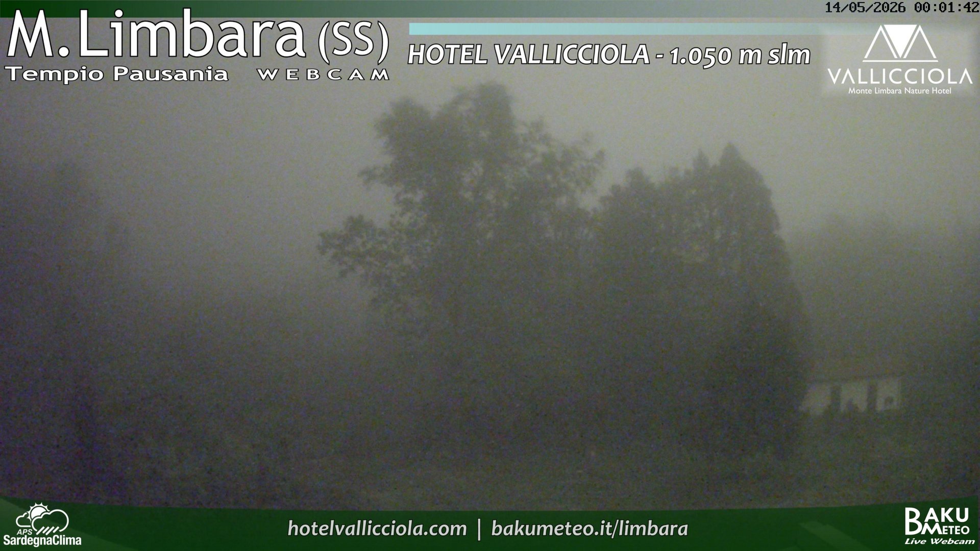 time-lapse frame, Monte Limbara Vallicciola webcam