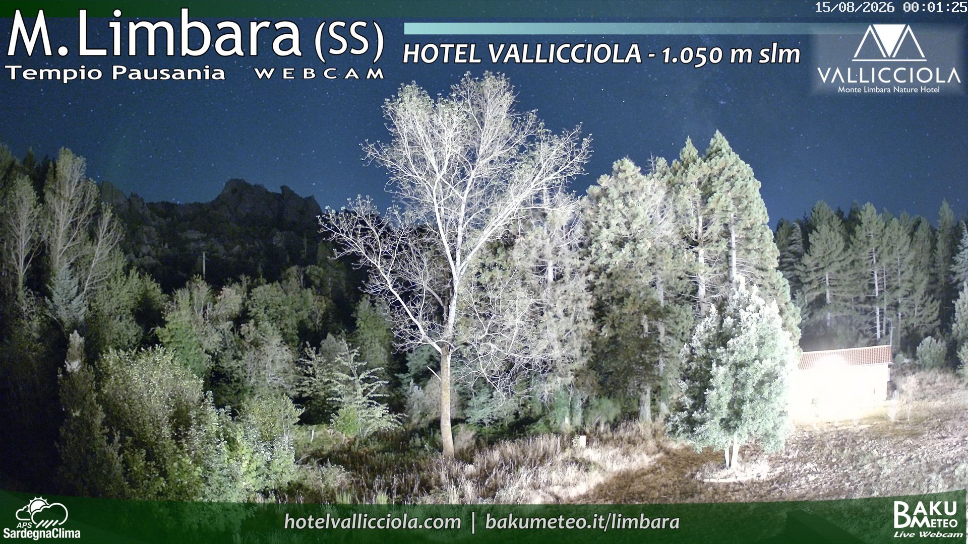 time-lapse frame, Monte Limbara Vallicciola webcam