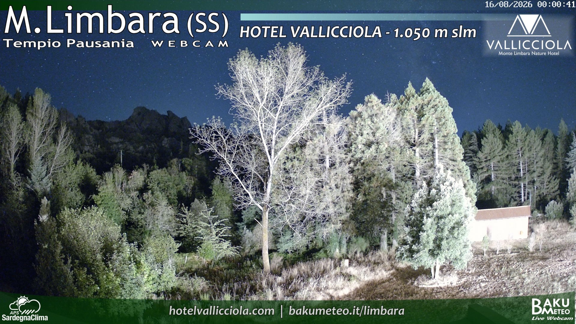 time-lapse frame, Monte Limbara Vallicciola webcam