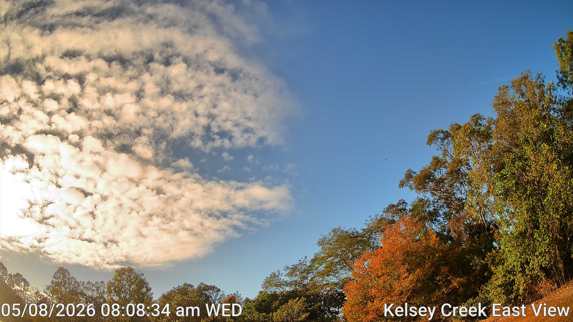 time-lapse frame, Kelsey Creek East View webcam