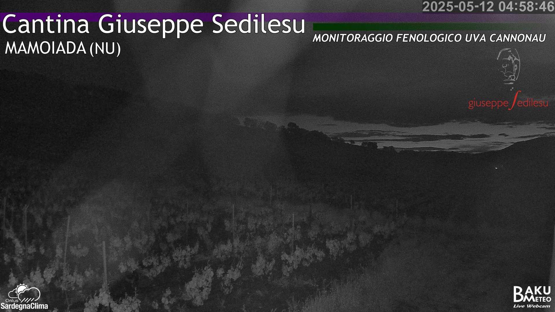 time-lapse frame, Mamoiada Nord webcam