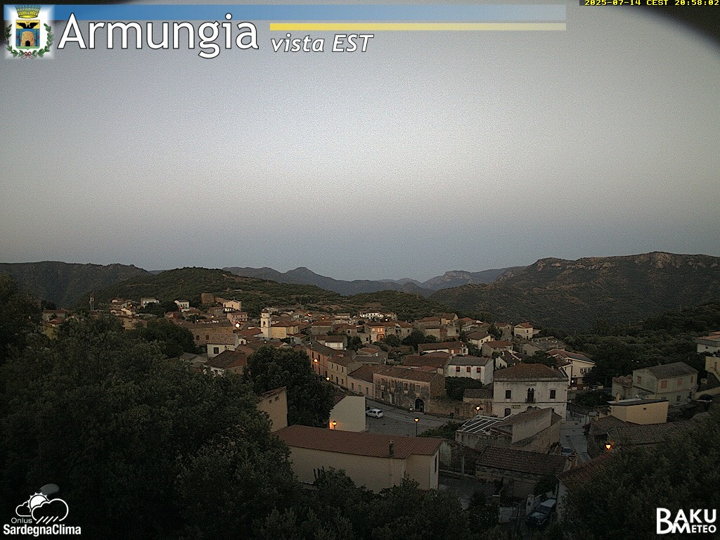 Armungia animated GIF
