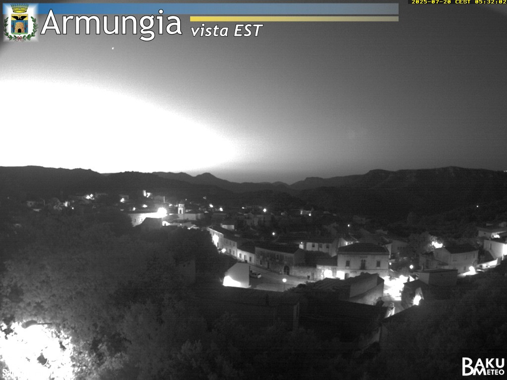 Armungia animated GIF