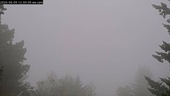 view from Kings Mountain on 2026-06-09