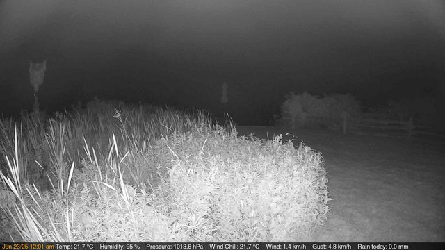 time-lapse frame, Deck-Dock Cam webcam