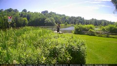 view from Deck-Dock Cam on 2025-06-25