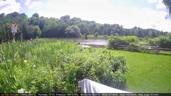 view from Deck-Dock Cam on 2025-07-01
