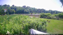 view from Deck-Dock Cam on 2025-07-03