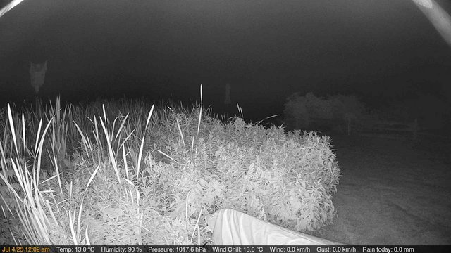 time-lapse frame, Deck-Dock Cam webcam