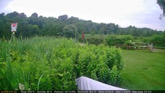 view from Deck-Dock Cam on 2025-07-08