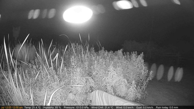 time-lapse frame, Deck-Dock Cam webcam