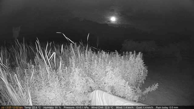 time-lapse frame, Deck-Dock Cam webcam