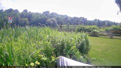 view from Deck-Dock Cam on 2025-07-14