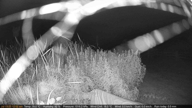 time-lapse frame, Deck-Dock Cam webcam