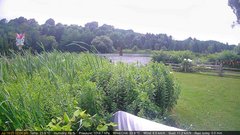 view from Deck-Dock Cam on 2025-07-19