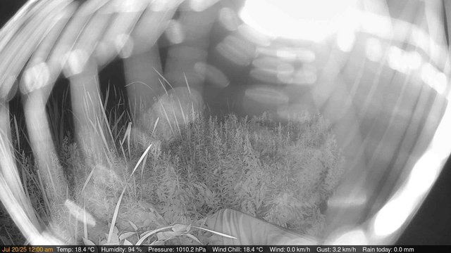 time-lapse frame, Deck-Dock Cam webcam