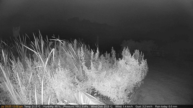 time-lapse frame, Deck-Dock Cam webcam