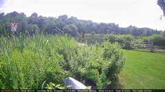 view from Deck-Dock Cam on 2025-07-25