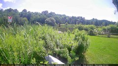 view from Deck-Dock Cam on 2025-07-28