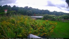 view from Deck-Dock Cam on 2025-09-06