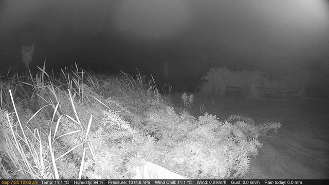 time-lapse frame, Deck-Dock Cam webcam