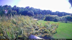 view from Deck-Dock Cam on 2025-09-08