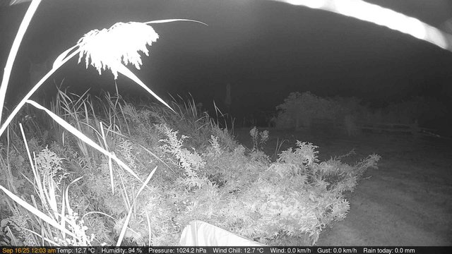 time-lapse frame, Deck-Dock Cam webcam