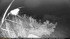 view from Deck-Dock Cam on 2025-09-19