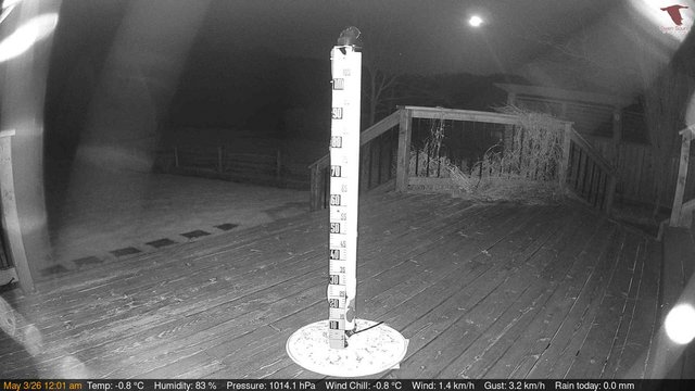 time-lapse frame, Deck-Dock Cam webcam