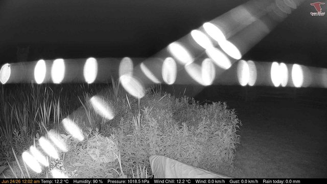time-lapse frame, Deck-Dock Cam webcam